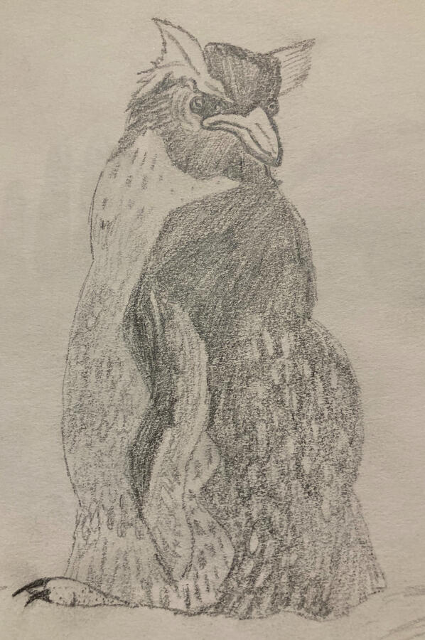 Untitled Untitled